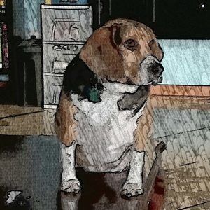 Meet your Posher, John